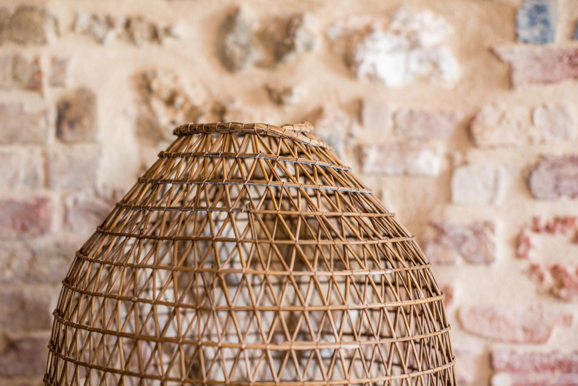 Agriturismo Casalino18 Tognazza Zewnętrze zdjęcie