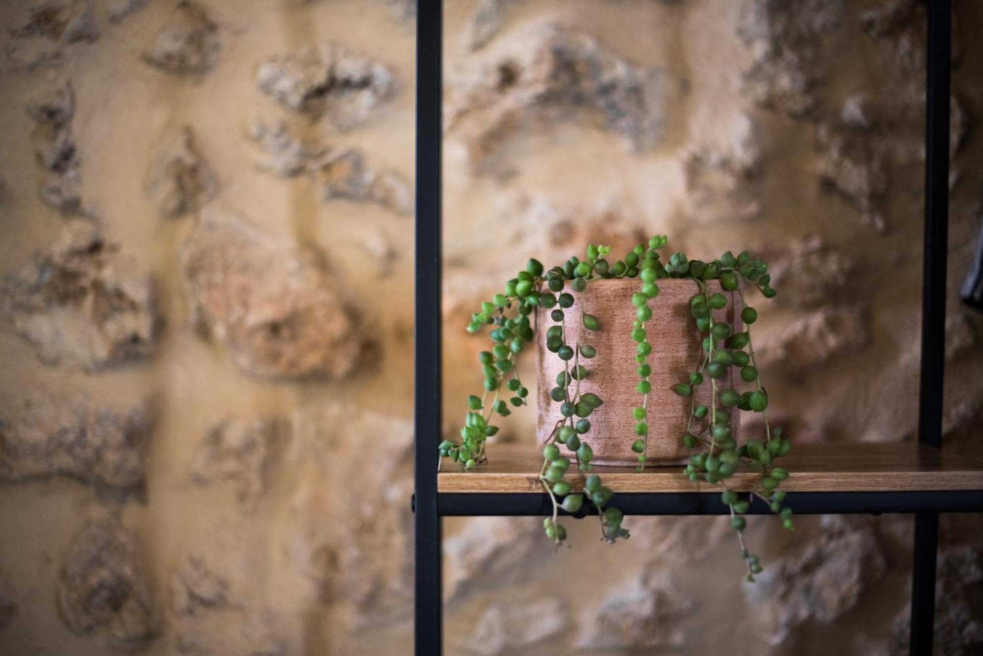 Agriturismo Casalino18 Tognazza Zewnętrze zdjęcie